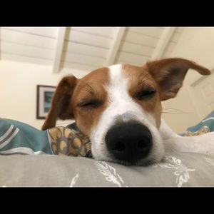 Meet your Posher, Mari